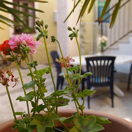 Apartment Nana 1 Szybenik Zewnętrze zdjęcie
