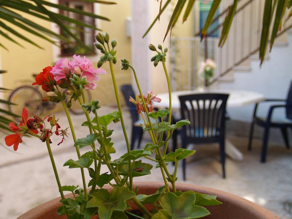 Apartment Nana 1 Szybenik Zewnętrze zdjęcie